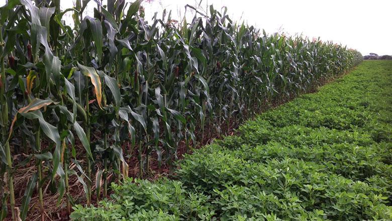 African ministers strategise on climate change adaptation