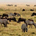 Changing culture in Africa (1)