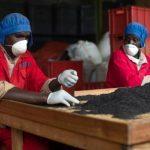 Free trade area is best chance to remake Africa