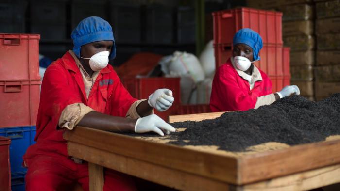 Free trade area is best chance to remake Africa