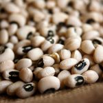 Nigeria commercialises first transgenic cowpea variety