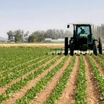 agro industrailastion