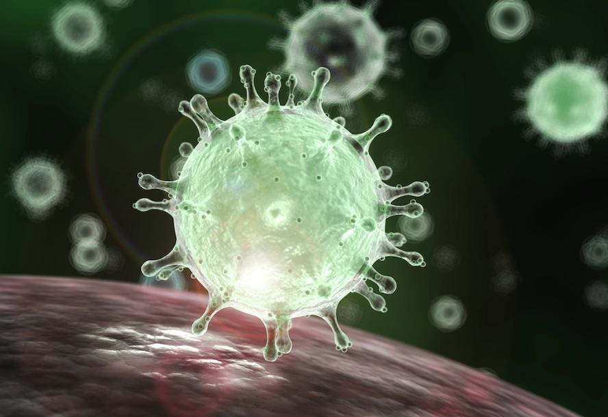 Coronavirus: ECOWAS tasks states on active surveillance, collaboration