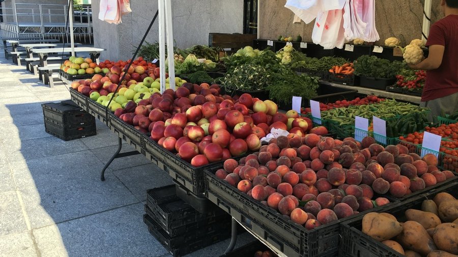 All about GAIN’s partnerships in Africa