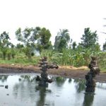 Presidency lists progress on Ogoni Clean Up
