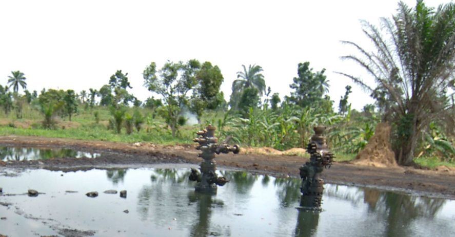 Presidency lists progress on Ogoni Clean Up