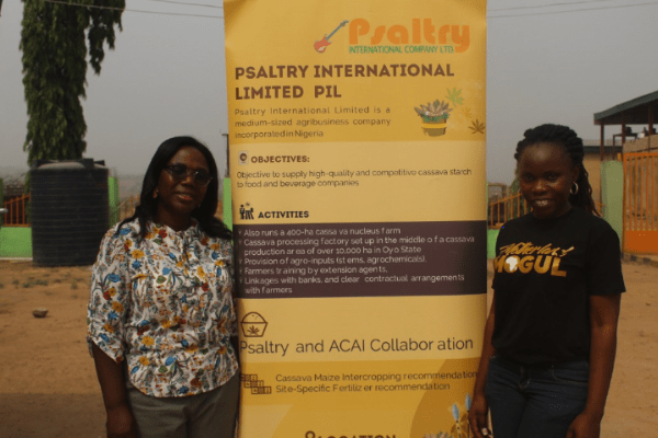 SmartFarm Nigeria, Psaltry International collaborate to train cassava farmers, create market access