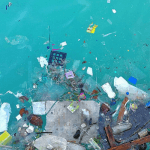 NIMASA warns public on dangers of selling, consuming dead fish