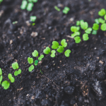 Africa looms large for UK’s development finance unit