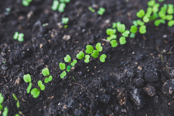 Africa looms large for UK’s development finance unit