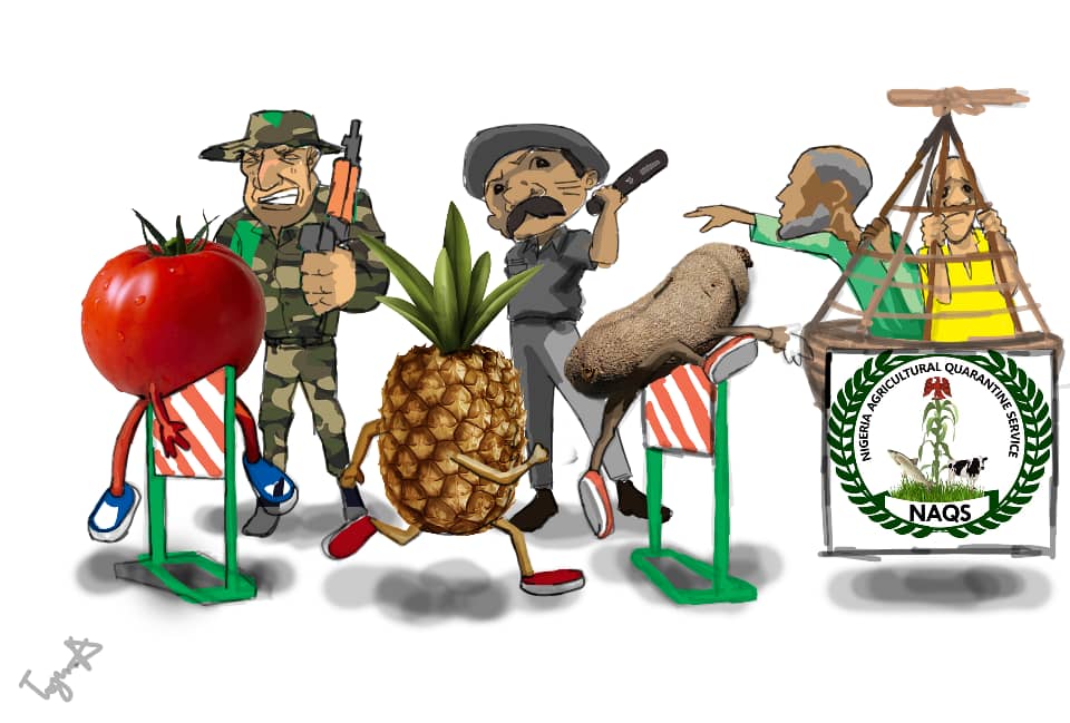 How security agencies hunt, extort local farmers over border closure (2)