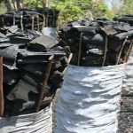 FUNAAB wins £300,000 grant from UK to investigate charcoal-induced cancer in Nigeria 