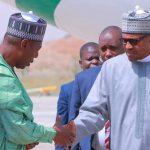 Buhari's booing in Borno shows Nigerians' loss of confidence, says PDP