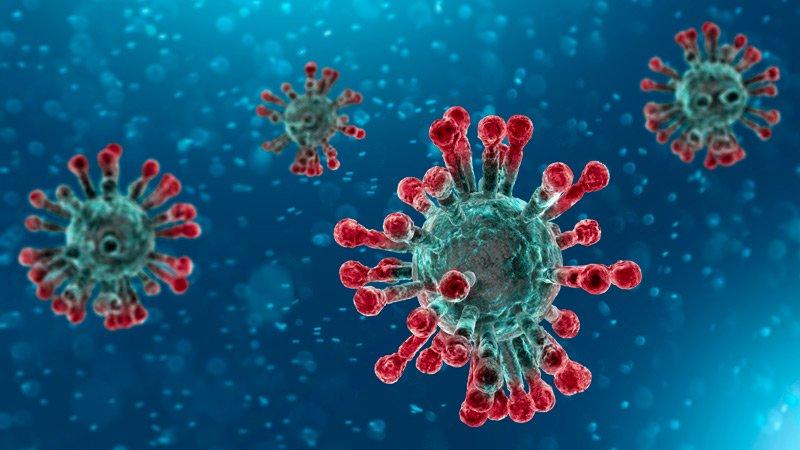 Coronavirus: $50m needed to strengthen preparedness in West African region - WAHO
