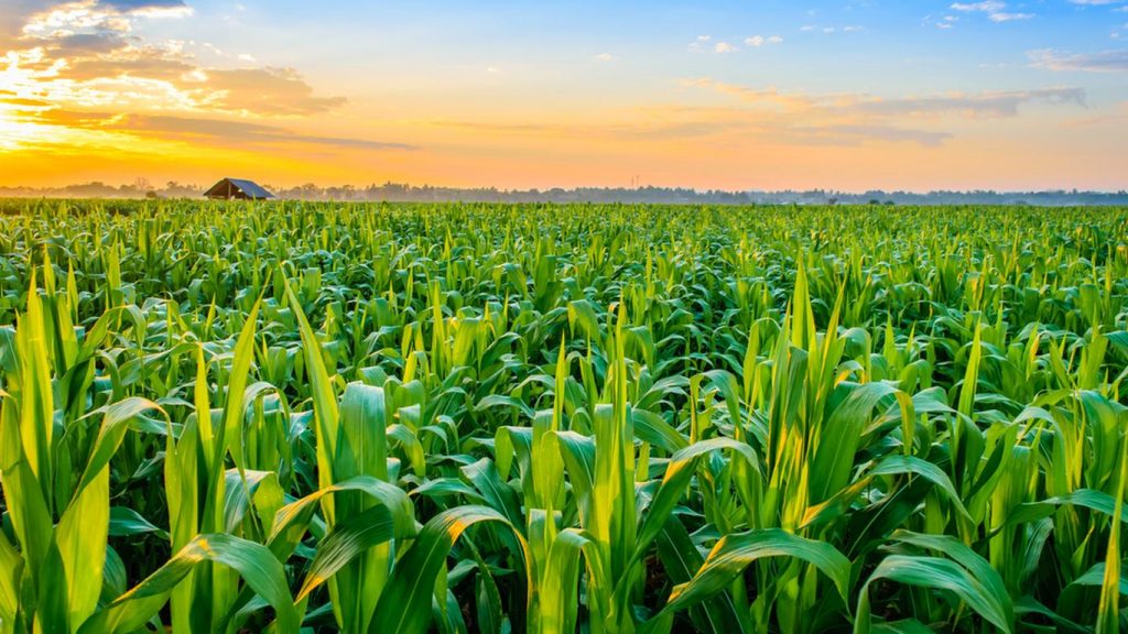 Delta investment summit highlights opportunities in agric