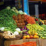 Cashing in on Hydroponics for food security