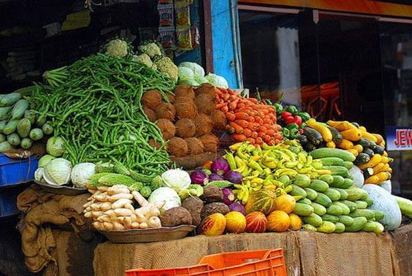 Cashing in on Hydroponics for food security