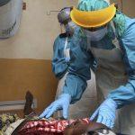 Nigeria declares end to Lassa fever emergency