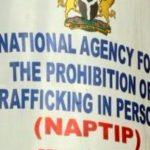 National Agency for the Prohibition of Trafficking in Persons (NAPTIP)