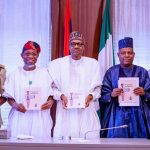 Nigeria unveils new visa policy to improve business environment, attract FDI