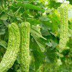 Senate urged on quick passage of PVP bill into law