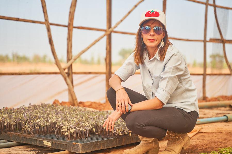 'We have de-risked the business side that made tomato processors fail in Nigeria'