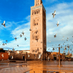 Africa partners UNWTO on tourism investment, security