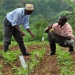 agricultural research