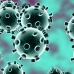 Global shipping market reels from coronavirus