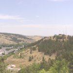 Bans, regulations, business and politics