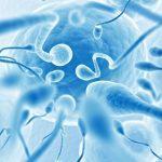 Pesticides exposes male to low sperm count, expert says