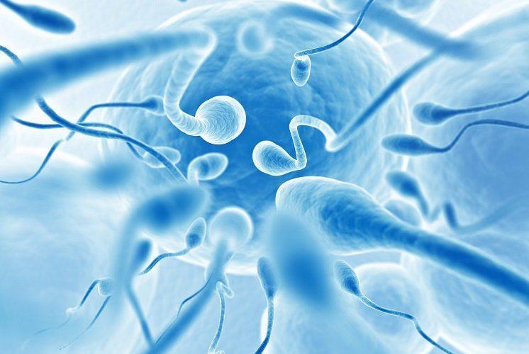 Pesticides exposes male to low sperm count, expert says