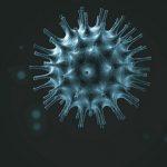 Coronavirus: WHO identifies 15 laboratories to provide reference testing Support