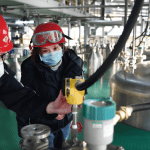 Manias, panics, pandemics and world economics