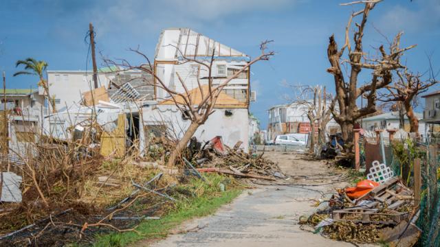 Climate risk insurance: Building resilience and growing markets