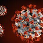 Nigeria's Coronavirus case hits 224 as NCDC confirms 10 new cases