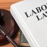 Labour law review: Why Reps should align with social partners- NECA