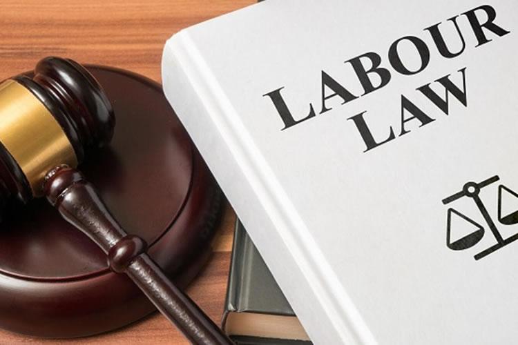 Labour law review: Why Reps should align with social partners- NECA