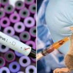 Kwara, Uni-Ilorin set to combat Lassa, Coronavirus