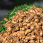Nigeria’s ginger export