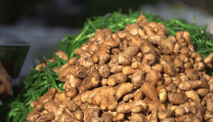 Nigeria’s ginger export