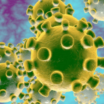 Coronavirus