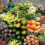 Nigerian food research institutes