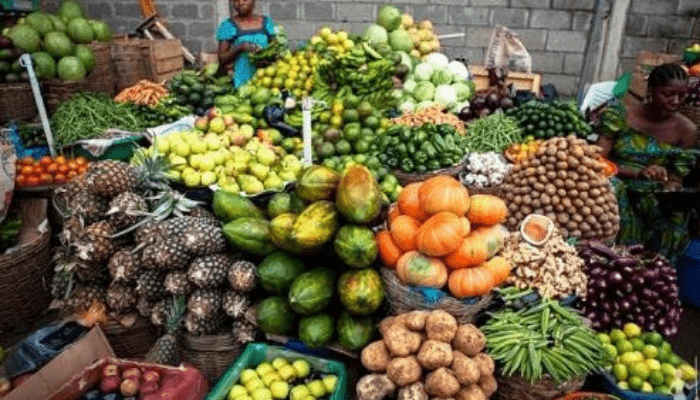Nigerian food research institutes