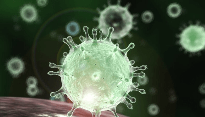 Coronavirus: SEC Nigeria issues advisory