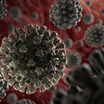 coronavirus pandemic