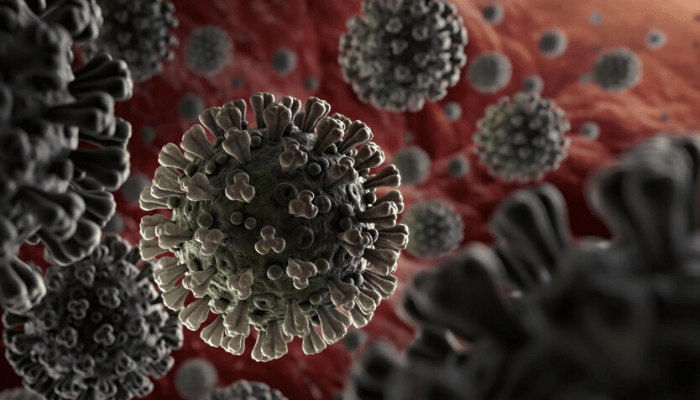 coronavirus pandemic