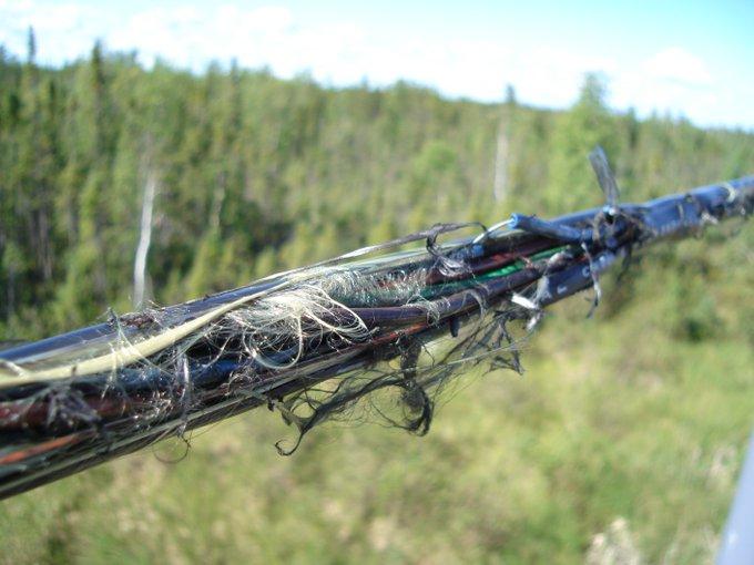 Nigeria risks more call drops over rising vandalism on telecom infrastructure