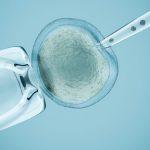 Starting the fertility treatment journey