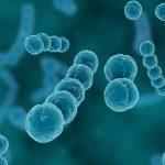 UBA aids Nasarawa with N28.5m to fight coronavirus